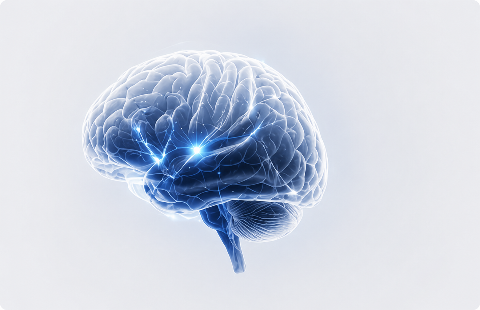 Cerebro PEFE